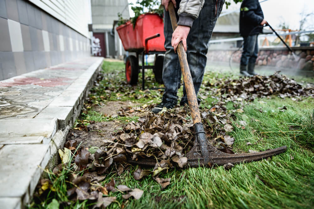 green cleaning services