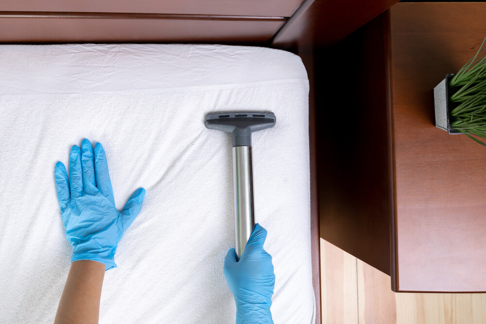 Daily Habits That Keep It Clean